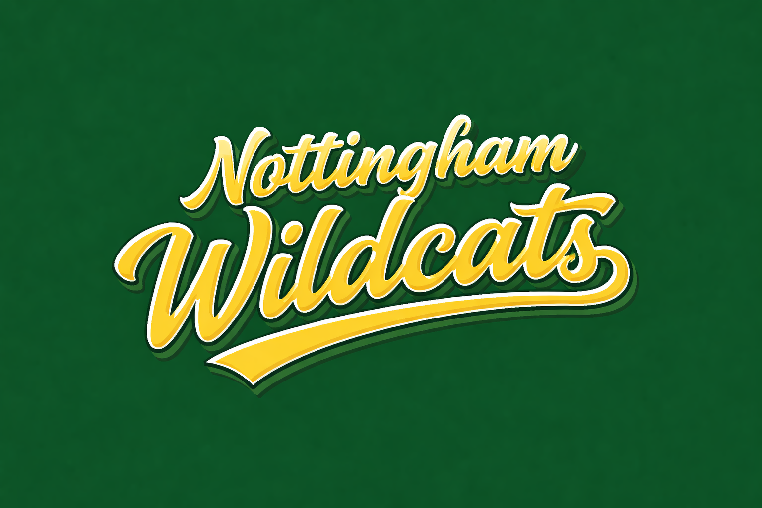 Nottingham Wildcats spark their season into existence